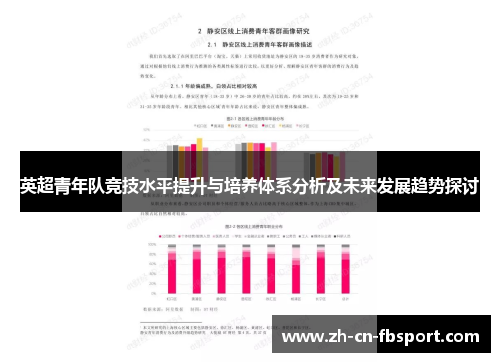 英超青年队竞技水平提升与培养体系分析及未来发展趋势探讨