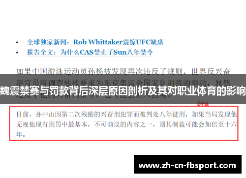 魏震禁赛与罚款背后深层原因剖析及其对职业体育的影响
