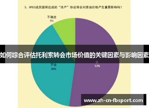 如何综合评估托利索转会市场价值的关键因素与影响因素 如何综合评估托利索转会市场价值的关键因素与影响因素